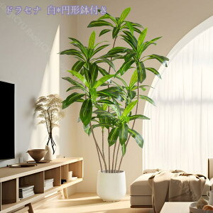 1000~OFFN[| lHϗtA 傫 tFCNO[ ^ CeA rO ItBX  Vbv  lHϗtA /Ogp rO  JXj Vzj z