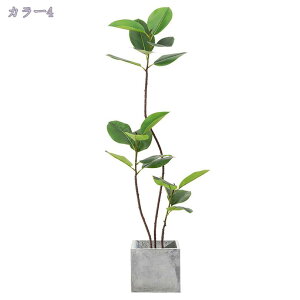 2000~OFFN[| tFCNO[ { lHϗtA ϗt tFCN ^    ƒ 悯oRj[ ΂̐A  Iȑ z ^ ȒP sv Q