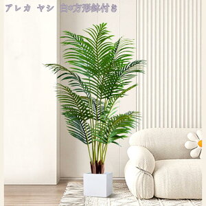 tFCNO[ ^ lHϗtA ډB A lHϗtA ϗtA tFCN ӂ[ ϗt tFCNO[ CeA  ItBX CeA sv 