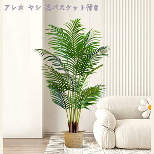 tFCNO[ 傫 lHϗtA A  ze CeA X X GgX c Ή E P vX`bN tFCN A b炸 j JƏj