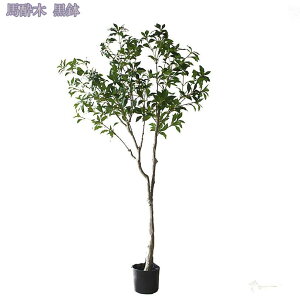 [J̖ tFCNO[ lHϗtA ϗt tFCN ^    ƒ 悯oRj[ ΂̐A  Iȑ z ^ ȒP sv Q쏜sv lH