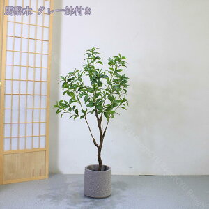 3500~OFFN[| [J̖ tFCNO[ lHϗtA ϗt tFCN ^    ƒ 悯oRj[ ΂̐A  Iȑ z ^ ȒP sv Q
