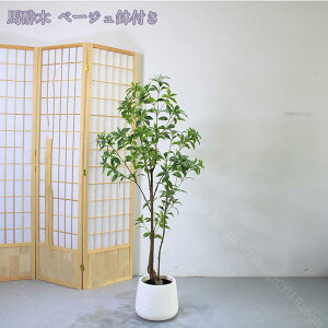 lHϗtA 傫 tFCNO[ ^ CeA rO ItBX  Vbv  lHϗtA /Ogp rO  JXj Vzj zj 