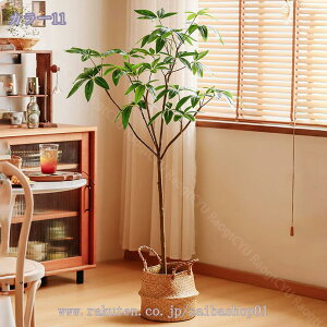 2000~OFFN[| tFCNO[ ^ 傫 ϗtA A lHϗtA tFCNO[ CeA ȒPb炸 sv ItBX z[ fR[V CeA 