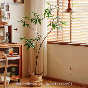 lHϗtA tFCN tFCNO[ ^ CeA  O tFCNA sv ͂Ȃ ~͐A ͂Ȃ ~͐A ϗtA lHϗt lH _ A rO