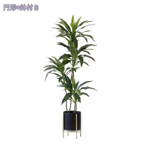 1000~OFFN[| lHϗtA tFCNO[ ^ CeA rO ItBX  Vbv rO   lHϗtA /Ogp JXj Vzj zj v