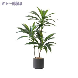 lHϗtA 傫 tFCNO[ ϗtA p  lHϗtAtFCN  Vv ItBX  CeA j JƏj zj tFCNO[ 