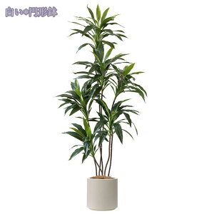 1000~OFFN[| tFCNO[ ϗA lHϗt lHϗtA ϗtA tFCN  Vv ItBX  CeA ^   lH j ̓ ϗt s