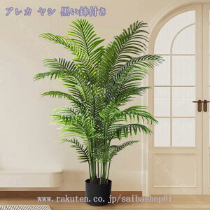 2000~OFFN[| ϗtA tFCNO[ Ύ 傫 t lHϗtA  A lHϗA lHϗt Vv A    CeA  rO  