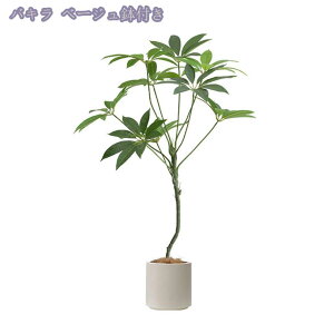 1000~OFFN[| tFCNO[ lHϗtA ^ϗt CeA  ƒ 悯oRj[ rO[ Q Iȑ z̃Mtg ͂Ȃ ~͐A Ȁ 