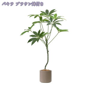 1000~OFFN[| tFCNO[ lHϗtA ^ϗt CeA  ƒ 悯oRj[ rO[ Q Iȑ z̃Mtg ͂Ȃ ~͐A Ȁ 