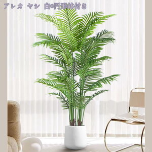 ϗtA tFCNO[ 傫 lHϗtA A  ze CeA X X GgX c Ή E P tFCN A b炸 j JƏj Mt