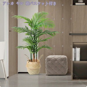 1000~OFFN[| tFCNO[ lHϗtA ΂̐A ϗt ^   ƒ 悯oRj[   c Iȑ z Mtg ȒP sv Q쏜sv l