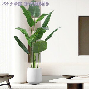 1000~OFFN[| ϗtA tFCNO[ Ύ 傫 t lHϗtA  A lHϗA lHϗt Vv A    sv lHϗtA Ce