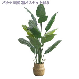 1000~OFFN[| ϗtA tFCNO[ Ύ 傫 t lHϗtA  A lHϗA lHϗt Vv A    sv lHϗtA Ce