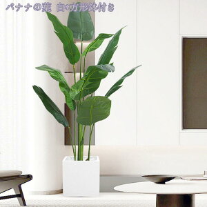 1000~OFFN[| ϗtA tFCNO[ Ύ 傫 t lHϗtA  A lHϗA lHϗt Vv A    sv lHϗtA Ce