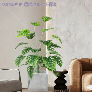 1000~OFFN[| tFCNO[ 傫 lHϗtA ^ ϗt CeA  ƒ 悯oRj[ Iȑ ȒP Vzj ̓ ̓ Ղ ~͐A Mtg 蕨 