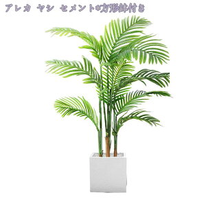 ϗtA tFCNO[ lHϗtA sv ͂Ȃ QȂ ϗtA CeA ItBX  ͂Ȃ  tFCN O[ O   fR[V