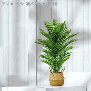 1000~OFFN[| lHϗtA 傫 ^ Ηt ډB Ԏd؂ p[eBV Ԏd؂ d؂ yɎd؂ K[fjOtFX V~[V Op z[ ItBX 