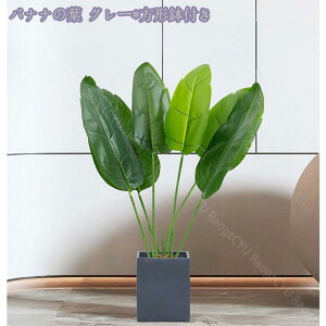 1000~OFFN[| lHϗtA A CeA ϗtA tFCNO[ ډB ^ lHϗtA rO  p JXj j 邭u₩ tFCNO[ lH 