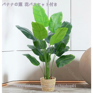 3500~OFFN[| lHϗtA A CeA ϗtA tFCNO[ ډB ^ lHϗtA rO  p JXj j 邭u₩ tFCNO[ lH 