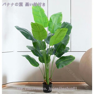 lHϗtA A CeA ϗtA tFCNO[ ډB ^ lHϗtA rO  p JXj j 邭u₩ tFCNO[ lH ϗtA fR[