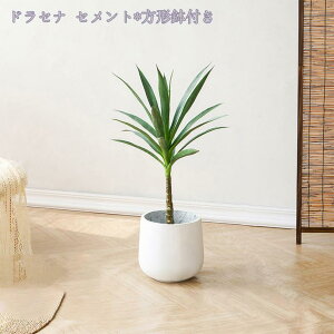 lHϗtA A CeA ϗtA tFCNO[ ډB ^ lHϗtA rO  p JXj j 邭u₩ tFCNO[ lH ϗtA fR[