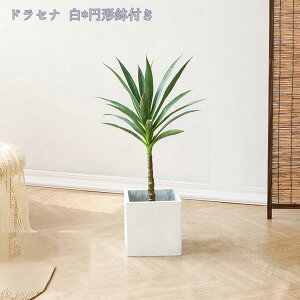 3500~OFFN[| lHϗtA A CeA ϗtA tFCNO[ ډB ^ lHϗtA rO  p JXj j 邭u₩ tFCNO[ lH 