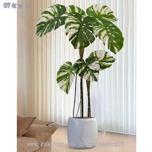 2000~OFFN[| tFCNO[ ϗtA ^ lHϗtA ډB A lHϗtA ϗtA tFCN ӂ[ ϗt tFCNO[ CeA  ItBX C