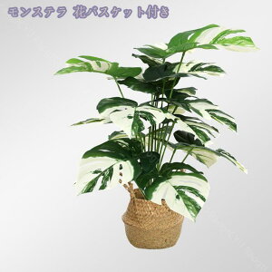 777~OFFN[| lHϗtA tFCNO[ 傫 ϗtA CeA  ItBX rO zj Vzj ȒP sv z̃Mtg lHϗtA ΂̂