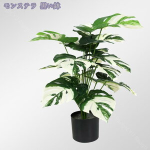 1000~OFFN[| tFCNO[ lHϗtA ^ϗt CeA  ƒ 悯oRj[ rO[ Q Iȑ z̃Mtg ͂Ȃ ~͐A Ȁ 