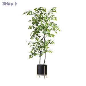 1000~OFFN[| tFCNO[ ^ ϗtA Vv ItBX  CeA A  sv ͂Ȃ  lHϗtA  lHϗtA j j JXj g