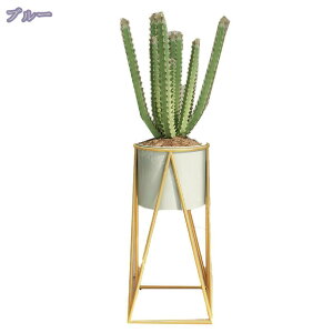 777~OFFN[| v^[ X^h 47cm 70cm Aؔ t[X^h  CeA v^[X^h  ԑ O X^h  ϗtA ԕr u |bN x