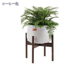 300~OFFN[| Aؔ | u t[X^h Eh ԑ X^h t[ K[fjO/t[/| bN/I A X^h ~͒I O/ bN  v