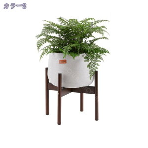 25×28CM v^[X^h t[X^h VR ϗtA   ԕr u t[|bg ui Aؔ CeA ~` ۋr \ ؋r rO O K[fjO ̓ 