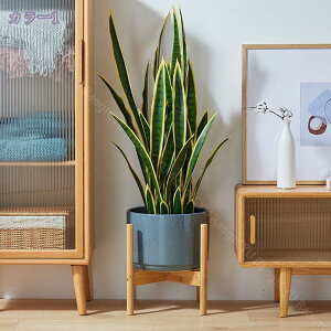 300~OFFN[| 25×28CM v^[X^h t[X^h VR ϗtA   ԕr u t[|bg ui Aؔ CeA ~` ۋr \ ؋r rO O K[fj