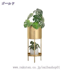 1600~OFFN[| t[X^h  ԑ O X^h  ϗtA ԕr u |bN x_ 75.5cm S[h v^[X^h Aؔ 2i   I ACA 