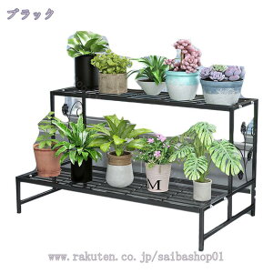 2000~OFFN[| t[bN t[X^h 2i 60cms44cm44cm  A I ԑ |bN K[f A AؔX^h A ~͒I | ԒI x_/