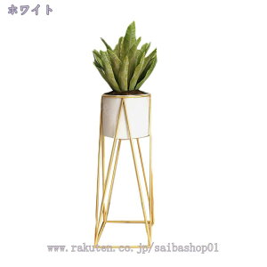 1000~OFFN[| Aؔ  S ~͔ t[X^h 22* 22* 47cm    v^[ A CeA   ϗtA v^[X^h S[h ԑ ACA X^