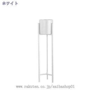 1000~OFFN[| ԑ t[X^h v^[X^h  ubN zCg _ Vv  /O /x_ X  u |bg X^h K[fb