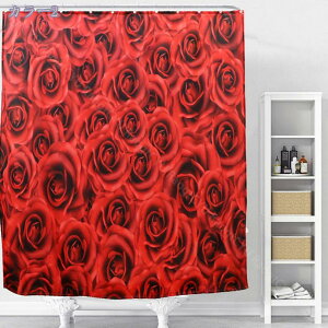 ΐF̗tV[J[eΗtJ[e hJrJ[e  h J[e CJ[e J[e EGCgo[ jbgoX C ʏ Ԏd؂ tȒP 