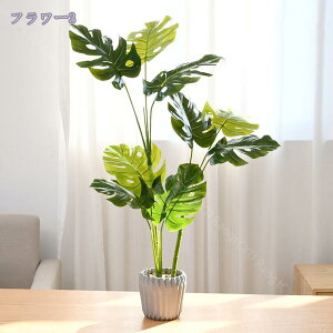 tFCNO[ ~j CeA x_[ lHϗtA gCɒu ̂ЂTCY { CeAO[ Eh|bg ϗtA tFCNO[  