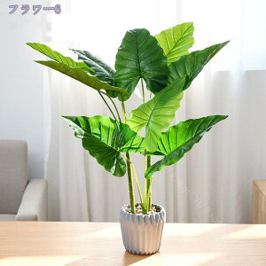 1000~OFFN[| tFCNO[ ~j CeA x_[ lHϗtA gCɒu ̂ЂTCY { CeAO[ Eh|bg ϗtA tFCNO[