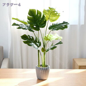 777~OFFN[| ϗtA ~j A tFCNO[  t lHϗtA  CeA G tFCN O[  lHA A  Mtg Xe |gX A