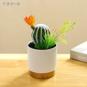 500~OFFN[| ϗtA ~j  fXNTCh IV ~jv^[ Ϗܗp CeA j v[g 蕨 Mtg zj V j j ~j A  A 