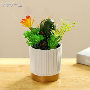 500~OFFN[| ϗtA ~j  fXNTCh IV ~jv^[ Ϗܗp CeA j v[g 蕨 Mtg zj V j j ~j A  A 