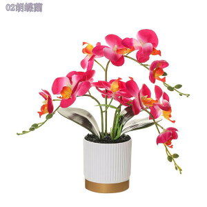 300~OFFN[| lHϗtA tFCNO[ Ӓ  CeA b炸 sv ItBX z[  Q oX[ fR[V ~j|bg CeAO[ 