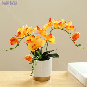 lHϗtA tFCNO[ Ӓ  CeA b炸 sv ItBX z[  Q oX[ fR[V ~j|bg CeAO[  RpNg 