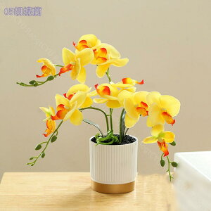 人工観葉植物 フェイクグリーン 胡蝶蘭 卓上 インテリア 世話いらず 水やり不要 オフィス ホーム 家 寝室 バスルーム デコレーション ミニポット インテリアグリーン 小さい コンパクト ラ