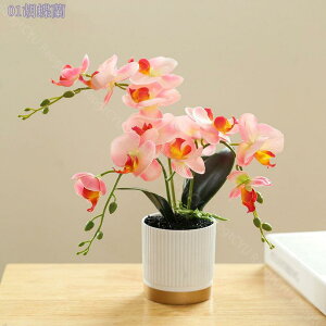 300~OFFN[| lHϗtA tFCNO[ Ӓ  CeA b炸 sv ItBX z[  Q oX[ fR[V ~j|bg CeAO[ 